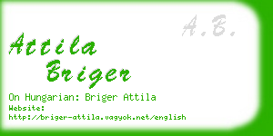 attila briger business card